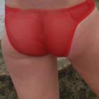 bikini sheer red rear view